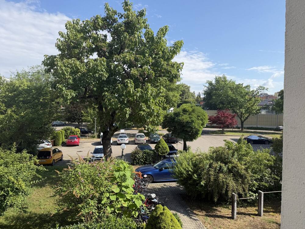 Blick aus der Küche